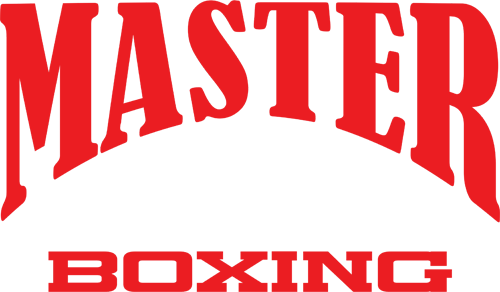 Master One Boxing